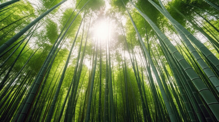 Fototapeta na wymiar Bamboo forest, Generative AI