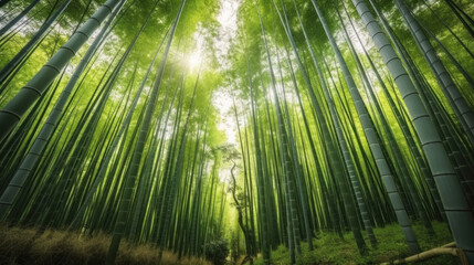 Bamboo forest, generative AI