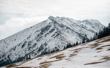 A beautiful mountain glade during the thaws. Early spring in the mountains. Focus in the background. Rusinowa Polana, Tatra Mountains, Poland © p  a  t  r  i  c  k