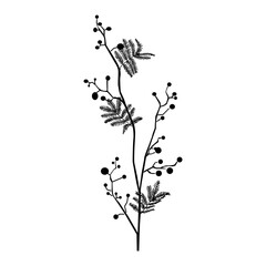 Vector illustration of a plant silhouette on a white background.