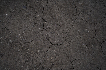 Dry cracked earth, cracks, earth in the sun, black earth, natural background with copy space. High quality photo