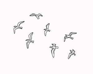 set of birds vector