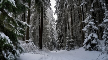 Fototapeta na wymiar Beautiful landscape of the snowy evergreen forest, Generative AI