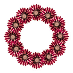 Flower arrangement of a round shape. Pink  and red  flowers isolated on white background. Wedding design element. Festive flower arrangement.  Border of flowers. Frame flowers. Copy space.