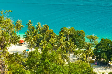 tropical island with palm trees