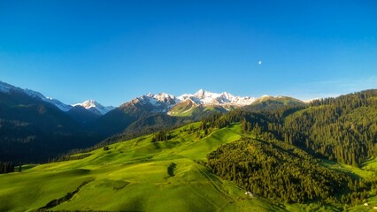 Obraz premium Breathtaking view of a green mountainous landscape and the peaks covered by snow in a distance
