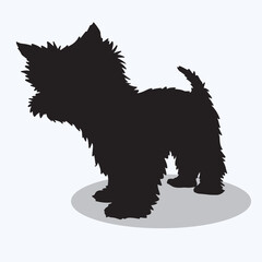 Yorkshire Terrier silhouettes and icons. Black flat color simple elegant Yorkshire Terrier animal vector and illustration.