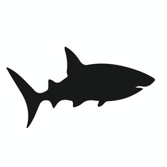 Obraz premium Zebra Shark silhouettes and icons. Black flat color simple elegant Zebra Shark animal vector and illustration.