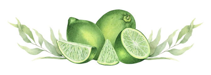 Watercolor wreath of limes, lime slices, twigs and leaves. Hand-drawn garland for postcards, invitations, cosmetics or food label design concepts with text space
