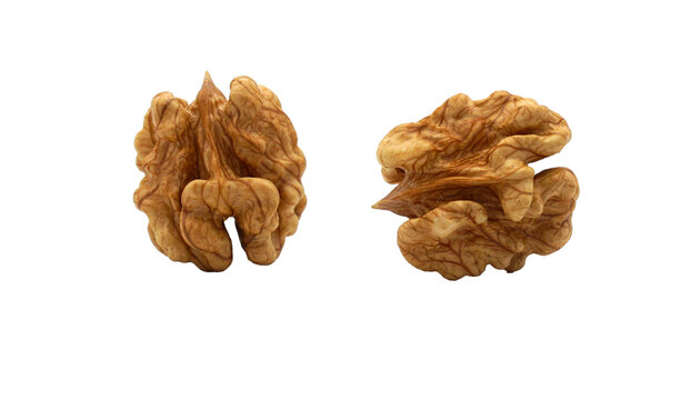 Deux cerneaux de noix isol&eacute;s sur fond transparent