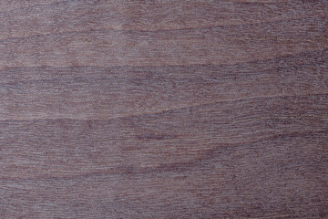 Dark wood texture template with natural pattern, closeup. Empty arboreal background