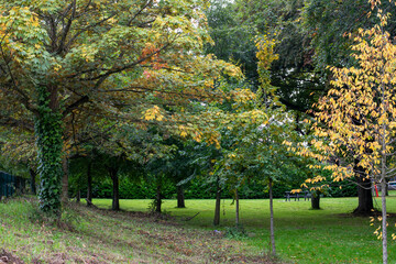 Dense autumn park with a bench.