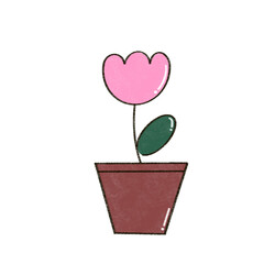 flower in a pot