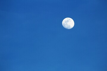 Naklejka na ściany i meble moon in the sky