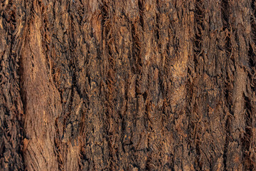 old wood background close up 
