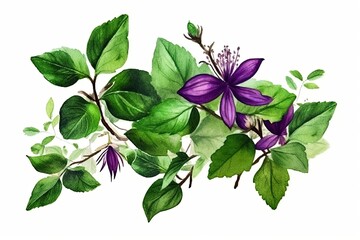 Garden bouquet in watercolor with flowers. Purple flowers are painted by hand in a botanical picture that is isolated on a white backdrop. floral arrangement for your design. Generative AI