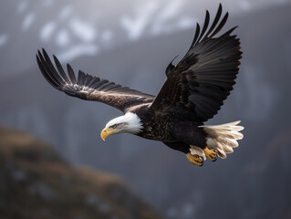Eagle, Bird flying gracefully isolated blurred background of mountains - Generative AI