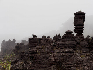 Rocks and mist on top of Mount Roraima, Venezuela