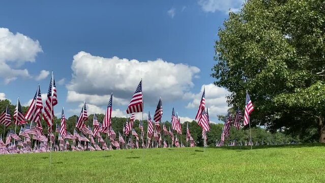 Kennesaw Mountain National Battlefield Park, Georgia: 9-11 Field of Flags in honor of September 11. One flag for each victim of the terrorism attacks. Civil War Atlanta Campaign battleground.