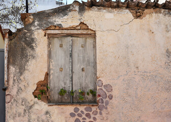 Old Mediterranean house outer wall, vine climbs closed weathered gray wooden shutters. Abandoned...