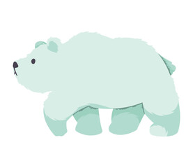 polar bear artic animal