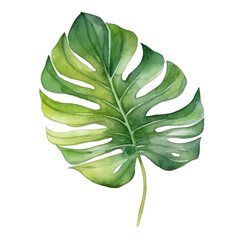 Tropical palm leaf watercolor. Illustration AI Generative.