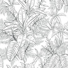 Ficus, palm leaves and tropical plants seamless pattern, tropical foliage, branch, greenery. Black and white