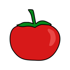 Whole tomato with leaves, doodle style vector