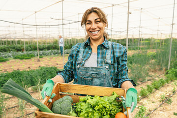Happy Latin farmer working inside agricultural greenhouse - Farm people lifestyle concept