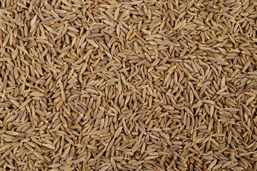 Top view of jeera texture background