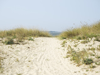 Camino de playa hacia el mar