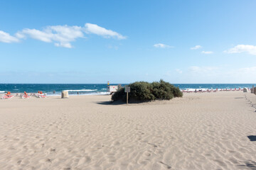 Fototapeta premium Playa del Ingles