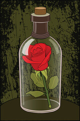 Red rose in a glass bottle.