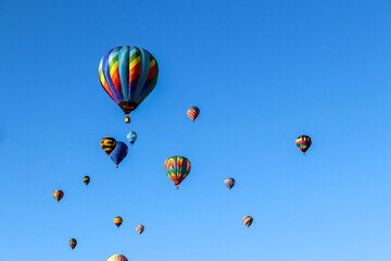 Fototapeta premium 14 colorful hot air balloons in flight against the bright blue sky on a crisp October day at the Albuquerque International Balloon Fiesta New Mexico. People come from all over the world.