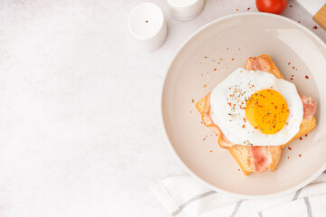 Delicious sandwich with fried egg and bacon on light background