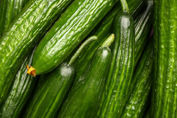 Fresh cucumbers as background, closeup