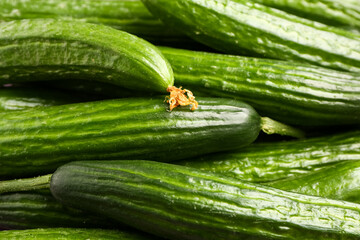 Fresh cucumbers as background, closeup