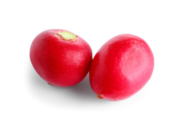 Fresh radish isolated on white background