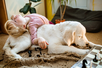 The little girl hugs a big dog. Happy child with his pet. Golden retriever puppy near the chessboard
