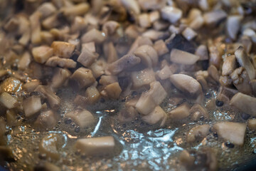 cooked chicken cubes for chinese food