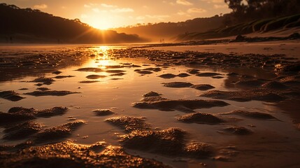 Fototapeta na wymiar A photograph of a beach at sunset, featuring warm, golden light and long shadows. AI generative
