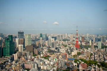 Naklejka premium Tokyo city view