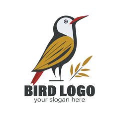 Vector hummingbird logo design