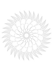 white flower isolated on black