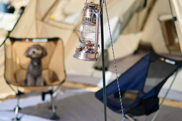 トイプードルを連れて女子キャンプ　青い海・美しいビーチでのんびり島キャンプ　キャンプ料理や愛犬と休日を楽しむ女性　海の見えるキャンプ