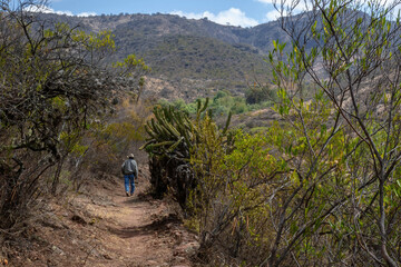 Fototapeta na wymiar A cowboy man walks on a trail in the mountains semi desert.