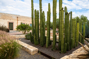 Beautiful old rustic Mexican house with cacti and a blue sky of white clouds