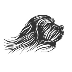 Shih tzu dog head design isolated on transparent background. Pet.