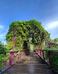 Bridge to Colonial Garden, Gardens By The Bay