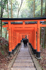 japanese torii